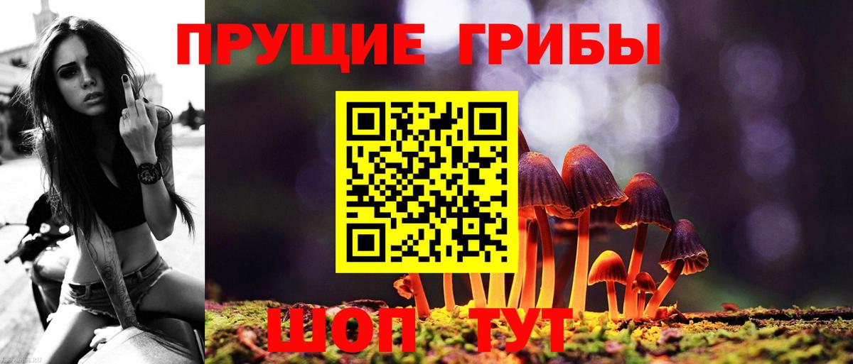 Галлюциногенные грибы GOLDEN TEACHER Саянск